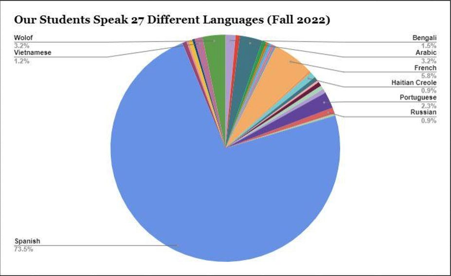 Chart showing languages that students speak.